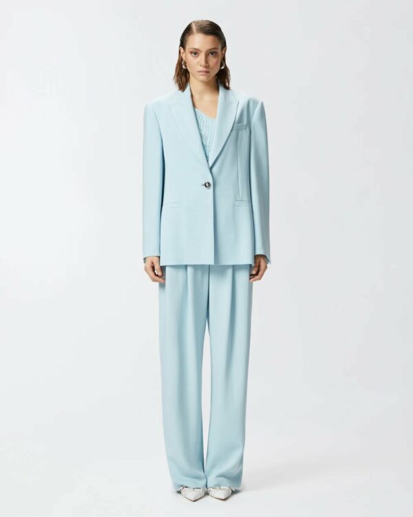 Blazer monopetto Pinko pe 25. mod. faraona
art. 104883 0116422426_1jpg Blazer monopetto Pinko pe 25. mod. faraona art. 104883