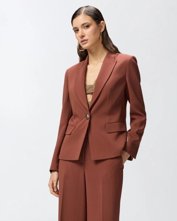 Blazer monopetto Pinko pe 25. mod. gente art. 104930